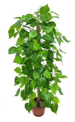 НоменклатураПрисоединенныеФайлы