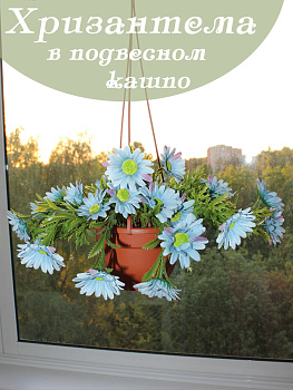 Цветы в подвесном кашпо