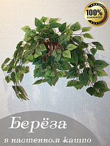 Ветки березы в настенном кашпло