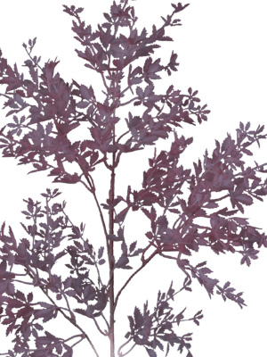 Декоративная ветка