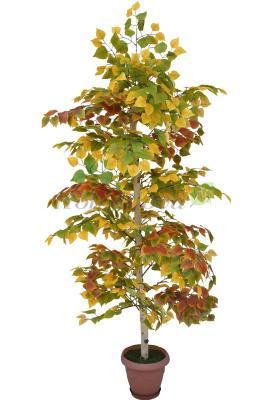 Картинка с сайта