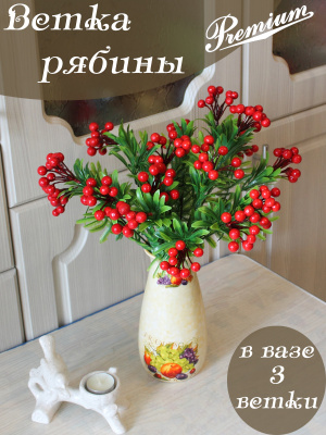 Ветка рябины
