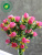 Розы (букет)