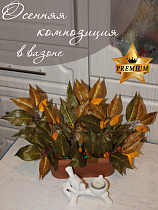 Ветки осени в вазоне