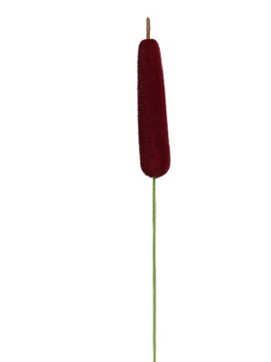 В-73-00