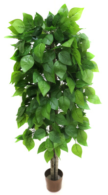 НоменклатураПрисоединенныеФайлы