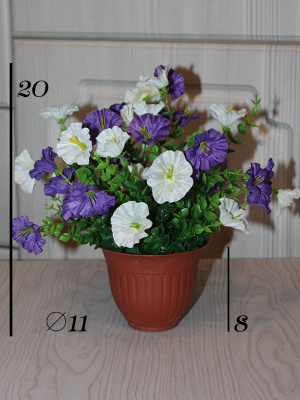 Петуния в кашпо